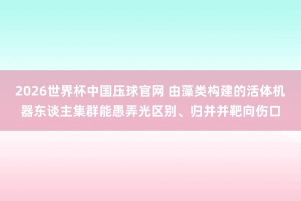 2026世界杯中国压球官网 由藻类构建的活体机器东谈主集群能愚弄光区别、归并并靶向伤口
