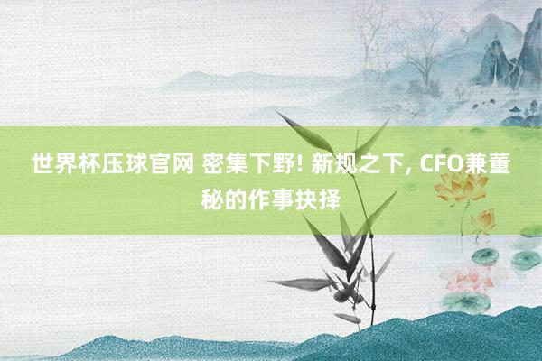 世界杯压球官网 密集下野! 新规之下， CFO兼董秘的作事抉择