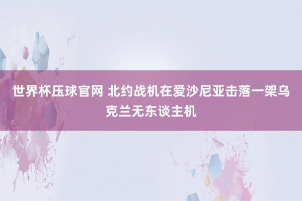 世界杯压球官网 北约战机在爱沙尼亚击落一架乌克兰无东谈主机