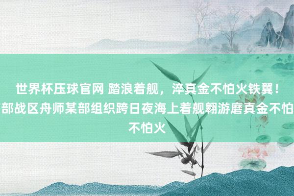 世界杯压球官网 踏浪着舰,淬真金不怕火铁翼!南部战区舟师某部组织跨日夜海上着舰翱游磨真金不怕火
