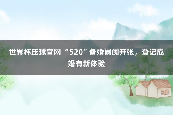 世界杯压球官网 “520”备婚阛阓开张，登记成婚有新体验