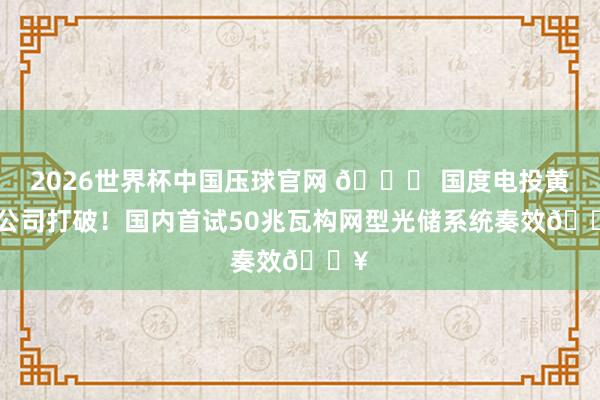 2026世界杯中国压球官网 📈 国度电投黄河公司打破！国内首试50兆瓦构网型光储系统奏效🔥
