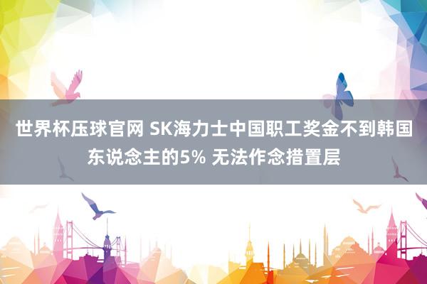 世界杯压球官网 SK海力士中国职工奖金不到韩国东说念主的5% 无法作念措置层