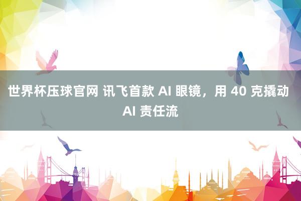 世界杯压球官网 讯飞首款 AI 眼镜,用 40 克撬动 AI 责任流