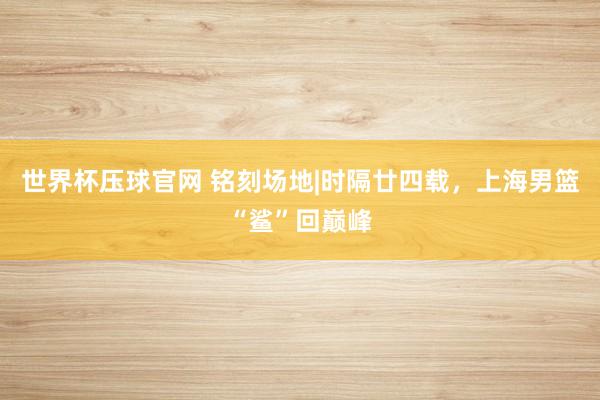 世界杯压球官网 铭刻场地|时隔廿四载,上海男篮“鲨”回巅峰