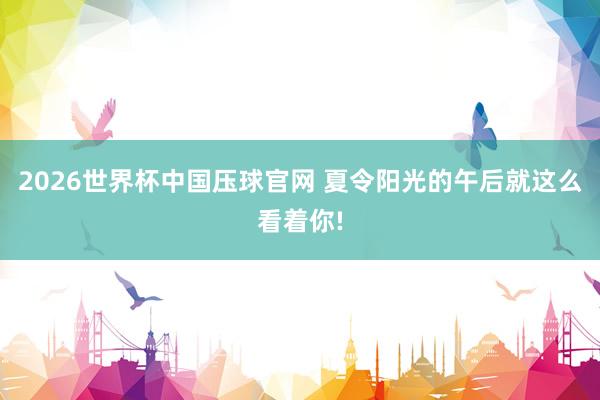 2026世界杯中国压球官网 夏令阳光的午后就这么看着你!